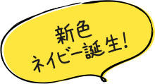 新色ネイビー誕生!